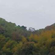 ヒメ日記 2025/04/20 10:47 投稿 なな 奥様の実話 なんば店