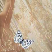 ヒメ日記 2025/04/20 12:18 投稿 なな 奥様の実話 なんば店