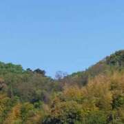 ヒメ日記 2025/04/27 10:46 投稿 なな 奥様の実話 なんば店