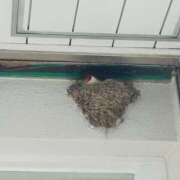 ヒメ日記 2025/04/30 07:38 投稿 なな 奥様の実話 なんば店