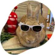 ヒメ日記 2025/05/03 09:54 投稿 なな 奥様の実話 なんば店