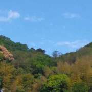 ヒメ日記 2025/05/04 12:39 投稿 なな 奥様の実話 なんば店