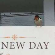 ヒメ日記 2025/05/06 07:18 投稿 なな 奥様の実話 なんば店