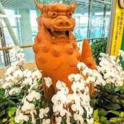 ヒメ日記 2025/05/12 08:30 投稿 なな 奥様の実話 なんば店