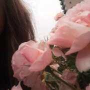 ヒメ日記 2025/05/26 12:11 投稿 なな 奥様の実話 なんば店