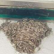 ヒメ日記 2025/05/28 07:46 投稿 なな 奥様の実話 なんば店