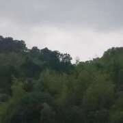 ヒメ日記 2025/06/14 11:01 投稿 なな 奥様の実話 なんば店