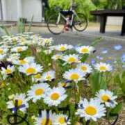 ヒメ日記 2025/06/18 16:55 投稿 なな 奥様の実話 なんば店