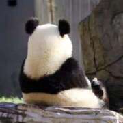 ヒメ日記 2025/06/27 19:21 投稿 なな 奥様の実話 なんば店