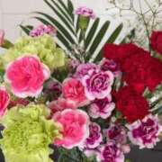 ヒメ日記 2025/07/09 07:58 投稿 なな 奥様の実話 なんば店