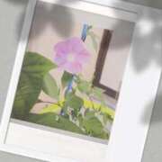 ヒメ日記 2025/07/26 08:28 投稿 なな 奥様の実話 なんば店