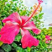 ヒメ日記 2025/08/28 07:46 投稿 なな 奥様の実話 なんば店