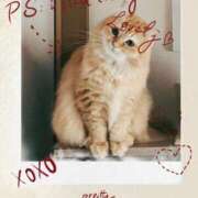 ヒメ日記 2025/09/19 08:03 投稿 なな 奥様の実話 なんば店