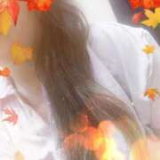 ヒメ日記 2025/09/25 07:30 投稿 なな 奥様の実話 なんば店