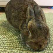 ヒメ日記 2025/10/26 08:36 投稿 なな 奥様の実話 なんば店