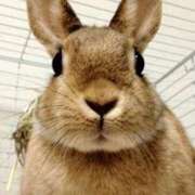 ヒメ日記 2025/11/24 08:12 投稿 なな 奥様の実話 なんば店