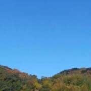 ヒメ日記 2025/11/26 11:01 投稿 なな 奥様の実話 なんば店