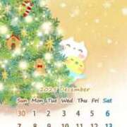 ヒメ日記 2025/12/01 09:02 投稿 なな 奥様の実話 なんば店