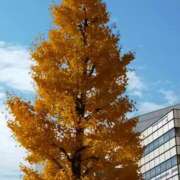 なな おはようございま〜す。＼(^o^)／ 奥様の実話 なんば店