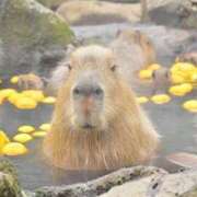 ヒメ日記 2025/12/22 07:46 投稿 なな 奥様の実話 なんば店