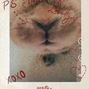 ヒメ日記 2025/12/28 10:56 投稿 なな 奥様の実話 なんば店