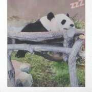 ヒメ日記 2026/01/23 08:45 投稿 なな 奥様の実話 なんば店