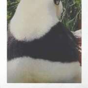 ヒメ日記 2026/01/27 18:08 投稿 なな 奥様の実話 なんば店