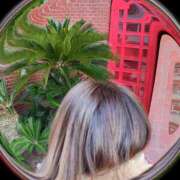 ヒメ日記 2026/01/29 16:13 投稿 なな 奥様の実話 なんば店