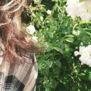 ヒメ日記 2026/02/04 08:17 投稿 なな 奥様の実話 なんば店