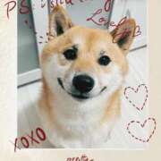 ヒメ日記 2026/02/19 07:11 投稿 なな 奥様の実話 なんば店