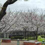 ヒメ日記 2026/04/02 07:25 投稿 なな 奥様の実話 なんば店