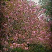 ヒメ日記 2025/04/12 15:28 投稿 すず 大人の遊園痴「スピーディー」