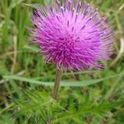 ヒメ日記 2025/05/02 09:58 投稿 すず 大人の遊園痴「スピーディー」