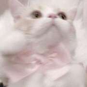 ヒメ日記 2025/01/14 16:06 投稿 そら 西川口ビデオdeはんど