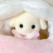 ヒメ日記 2025/03/16 13:16 投稿 そら 西川口ビデオdeはんど