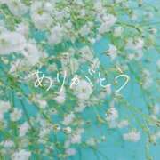 ヒメ日記 2025/05/31 20:45 投稿 菜音(なの) 高知デリヘル倶楽部 人妻熟女専門店