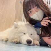 ヒメ日記 2025/03/13 22:54 投稿 イヴ/Eve 英國屋（金津園）