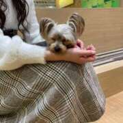 ヒメ日記 2025/05/13 17:35 投稿 天崎 莉央奈（あまさき りおな） NOA（ノア）