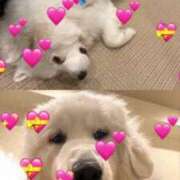 ヒメ日記 2025/05/15 19:52 投稿 天崎 莉央奈（あまさき りおな） NOA（ノア）