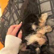 ヒメ日記 2025/06/15 19:02 投稿 天崎 莉央奈（あまさき りおな） NOA（ノア）