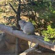 ヒメ日記 2025/12/21 17:46 投稿 天崎 莉央奈（あまさき りおな） NOA（ノア）