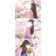 ヒメ日記 2026/04/07 18:27 投稿 天崎 莉央奈（あまさき りおな） NOA（ノア）