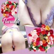 ヒメ日記 2024/12/12 20:42 投稿 はるか アップル(長崎)