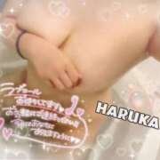 ヒメ日記 2025/07/02 20:51 投稿 はるか アップル(長崎)