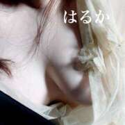 ヒメ日記 2026/04/05 02:48 投稿 はるか アップル(長崎)