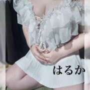 ヒメ日記 2026/04/07 23:57 投稿 はるか アップル(長崎)