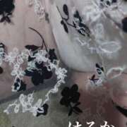 ヒメ日記 2026/04/08 08:54 投稿 はるか アップル(長崎)