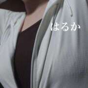 ヒメ日記 2026/04/09 13:12 投稿 はるか アップル(長崎)