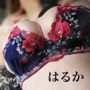 ヒメ日記 2026/04/09 19:03 投稿 はるか アップル(長崎)