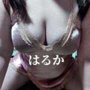 ヒメ日記 2026/04/10 14:12 投稿 はるか アップル(長崎)